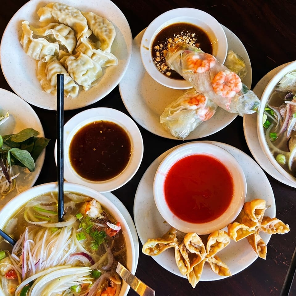 Overhead spread of Asian dishes featuring dumplings, shrimp spring rolls, noodle soups, fresh herbs, vegetables, and dipping sauces.